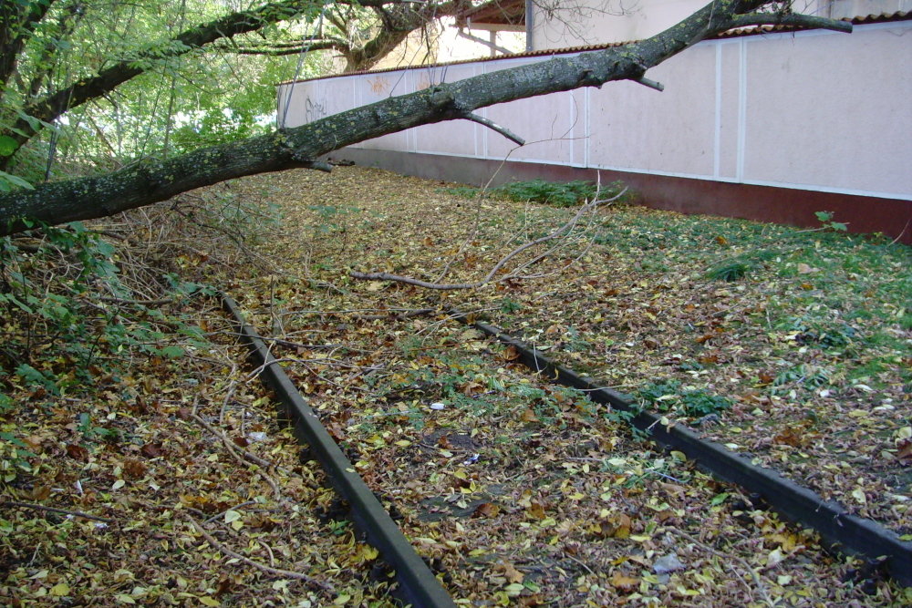 Textilwerk Behrens und K�hne, 2010