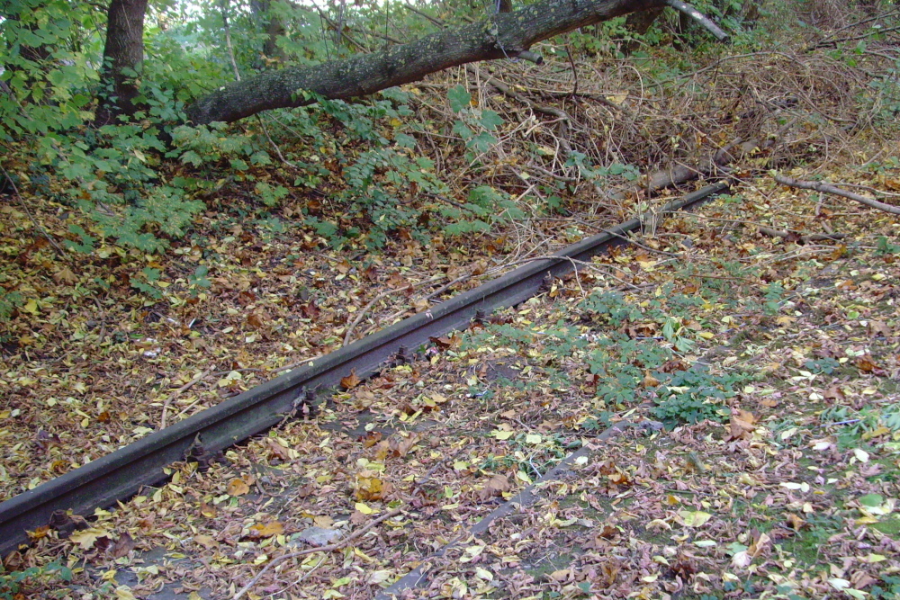 Textilwerk Behrens und K�hne, 2010